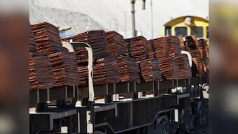 LIC buys half of Hind Copper shares on offer