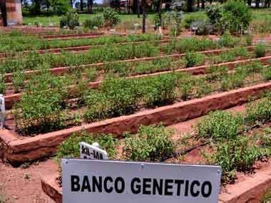 Centre to set up cold storage facilities at 79 places Centre to set up cold storage facilities at 79 places