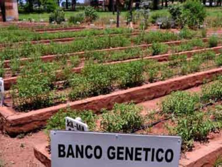 Centre to set up cold storage facilities at 79 places