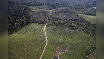 Amazon forest more resilient to climate change than feared - study