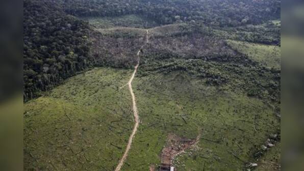 Amazon forest more resilient to climate change than feared - study