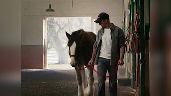 Budweiser win: How social media multiplied Super Bowl messages