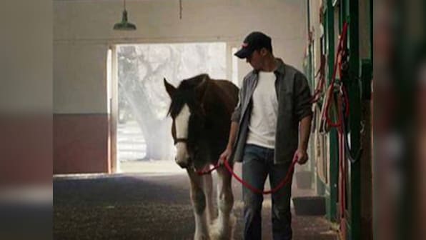 Budweiser win: How social media multiplied Super Bowl messages