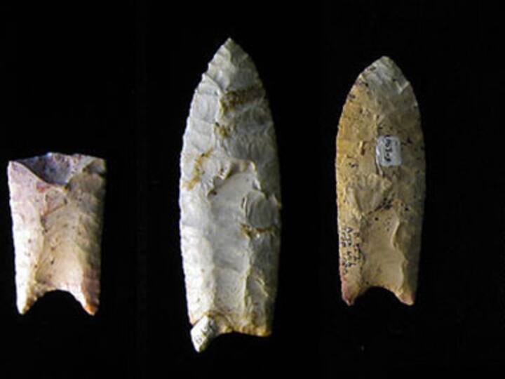 Comet explosions didn't wipe out pre-historic Clovis culture: report Comet explosions didn't wipe out pre-historic Clovis culture: report