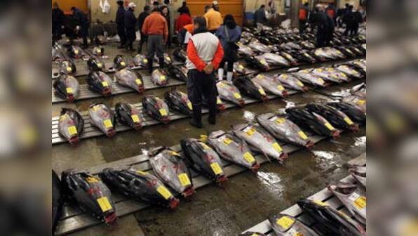 Fear of tuna collapse fails to curb Japan's appetite for sushi