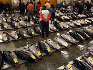 Fear of tuna collapse fails to curb Japan's appetite for sushi Fear of tuna collapse fails to curb Japan's appetite for sushi