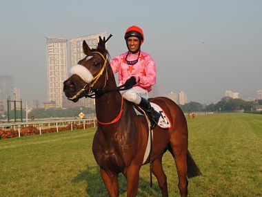Indian Derby: Song Dynasty, Machiavellianism ready for success Indian Derby: Song Dynasty, Machiavellianism ready for success