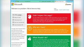 Bamital botnet: How Microsoft, Symantec shut down the global cyber crime ring 