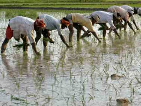 Budget 2013: Agriculture gets 22% more fund, Rs 1,000 cr for east India Budget 2013: Agriculture gets 22% more fund, Rs 1,000 cr for east India