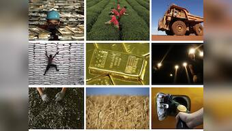 Survey outlines challenges; over to FM to devise steps in Union Budget 2013