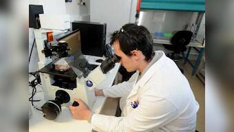 Now, nano particles mimic proteins