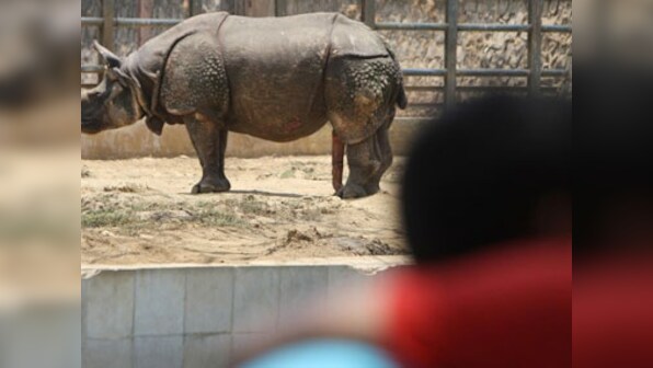 Tug-of-war over Byculla zoo land finally comes to an end