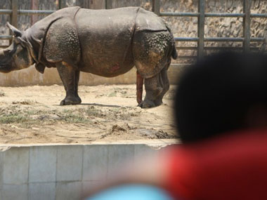 Tug-of-war over Byculla zoo land finally comes to an end Tug-of-war over Byculla zoo land finally comes to an end