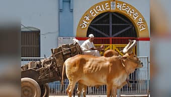 Committee to investigate Sabarmati jail tunnel case