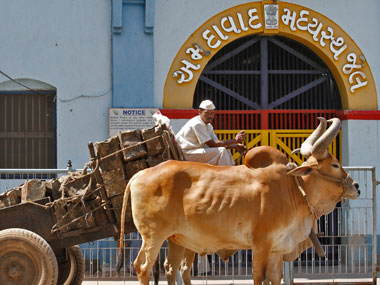 Committee to investigate Sabarmati jail tunnel case Committee to investigate Sabarmati jail tunnel case