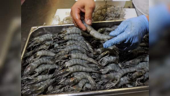 Indian shrimp exporters could get hit by punitive US duties