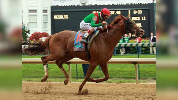 Animal Kingdom triumphs in $10 million Dubai World Cup