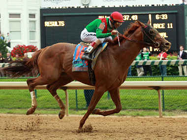 Animal Kingdom triumphs in $10 million Dubai World Cup Animal Kingdom triumphs in $10 million Dubai World Cup