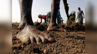 What NREGA did: Rural women knocked out of real jobs