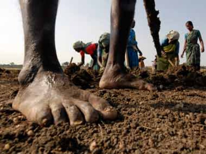 What NREGA did: Rural women knocked out of real jobs