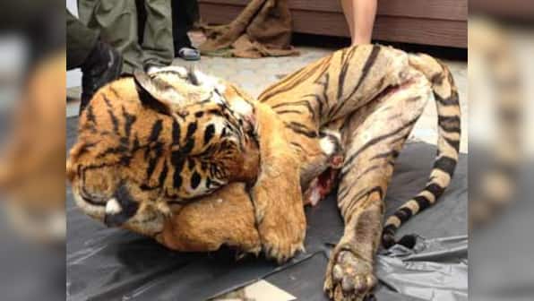 Why thriving wildlife trade should not surprise anyone
