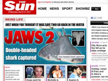Screengrab of the Sun website