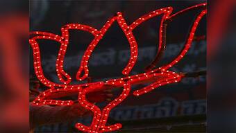 Govt won't last full term, early polls inevitable: BJP