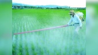 RCF stake sale offer to hit markets on 8 March