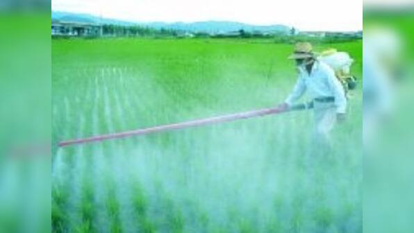 RCF stake sale offer to hit markets on 8 March