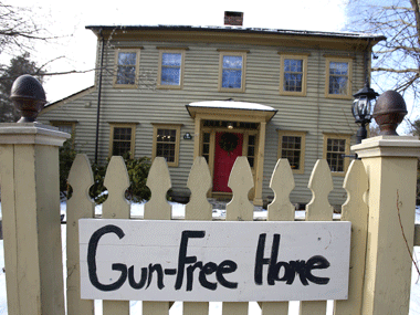 US Senate gun bill: Federal background check of buyers included US Senate gun bill: Federal background check of buyers included