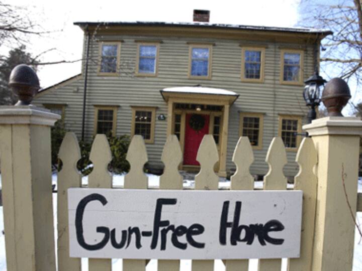 US Senate gun bill: Federal background check of buyers included