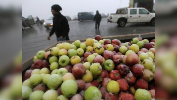 Now, an Iran-US battle for apple pie in India