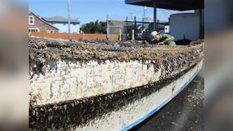 Boat caught in Japan tsunami washes ashore in California