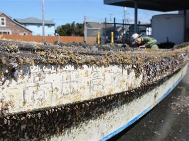 Boat caught in Japan tsunami washes ashore in California Boat caught in Japan tsunami washes ashore in California