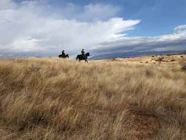 Harm to the environment? AFP