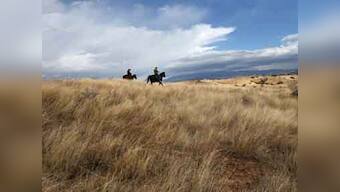 Coal and cattle lead business damage to nature: study