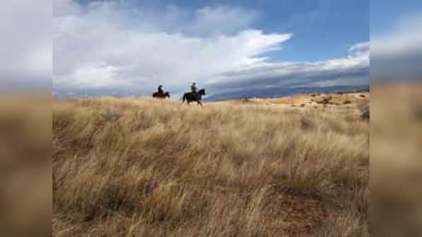 Coal and cattle lead business damage to nature: study