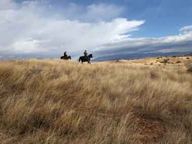 Coal and cattle lead business damage to nature: study Coal and cattle lead business damage to nature: study