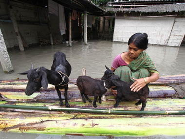 West Bengal floods: Toll reaches three in Malda West Bengal floods: Toll reaches three in Malda