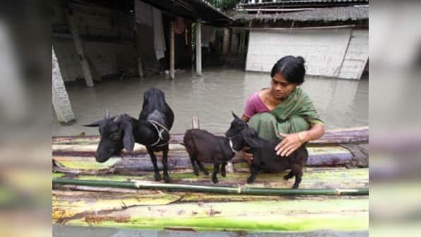  West Bengal floods: Toll reaches three in Malda 