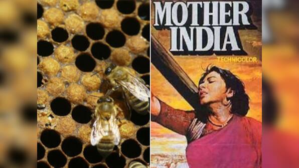 Rahul, Modi are wrong: India is neither a beehive nor a filmi mother