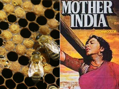 Rahul, Modi are wrong: India is neither a beehive nor a filmi mother Rahul, Modi are wrong: India is neither a beehive nor a filmi mother
