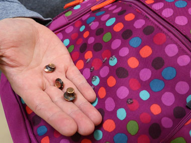 Bulletproof man: Of wheat grain and grassroot innovations Bulletproof man: Of wheat grain and grassroot innovations