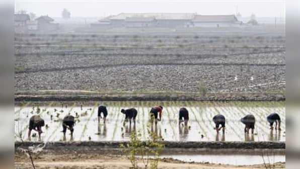 North Korea's peasant army gets ready to farm, not wage war