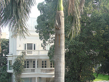 Dilapidated bungalows in Lutyens' Delhi costlier than NY condos Dilapidated bungalows in Lutyens' Delhi costlier than NY condos