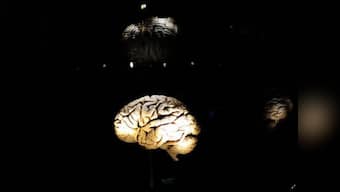 Brain cell transplants could cure epilepsy: Study