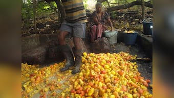 Goa's Feni manufacturing process may be patented