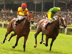 Mumbai Race Course Latest News On Mumbai Race Course Breaking Stories And Opinion Articles Firstpost