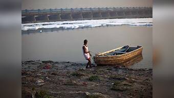 Delhi targets 25% green cover by 2025; officials say it's possible only if DDA gives land on Yamuna river banks to forest department