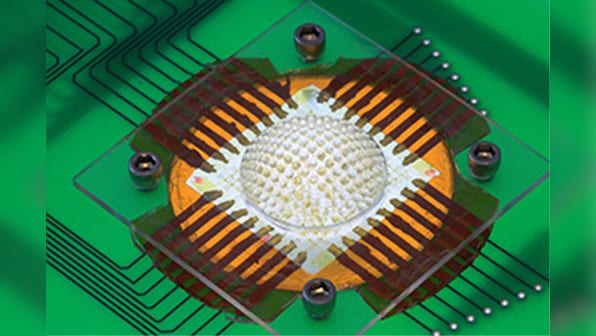 Now, 'insect-inspired' camera that can click photos across 180 degrees